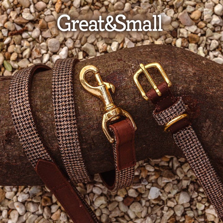 Category-Homepage-Great&Small-2